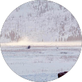 X Qin Icon
